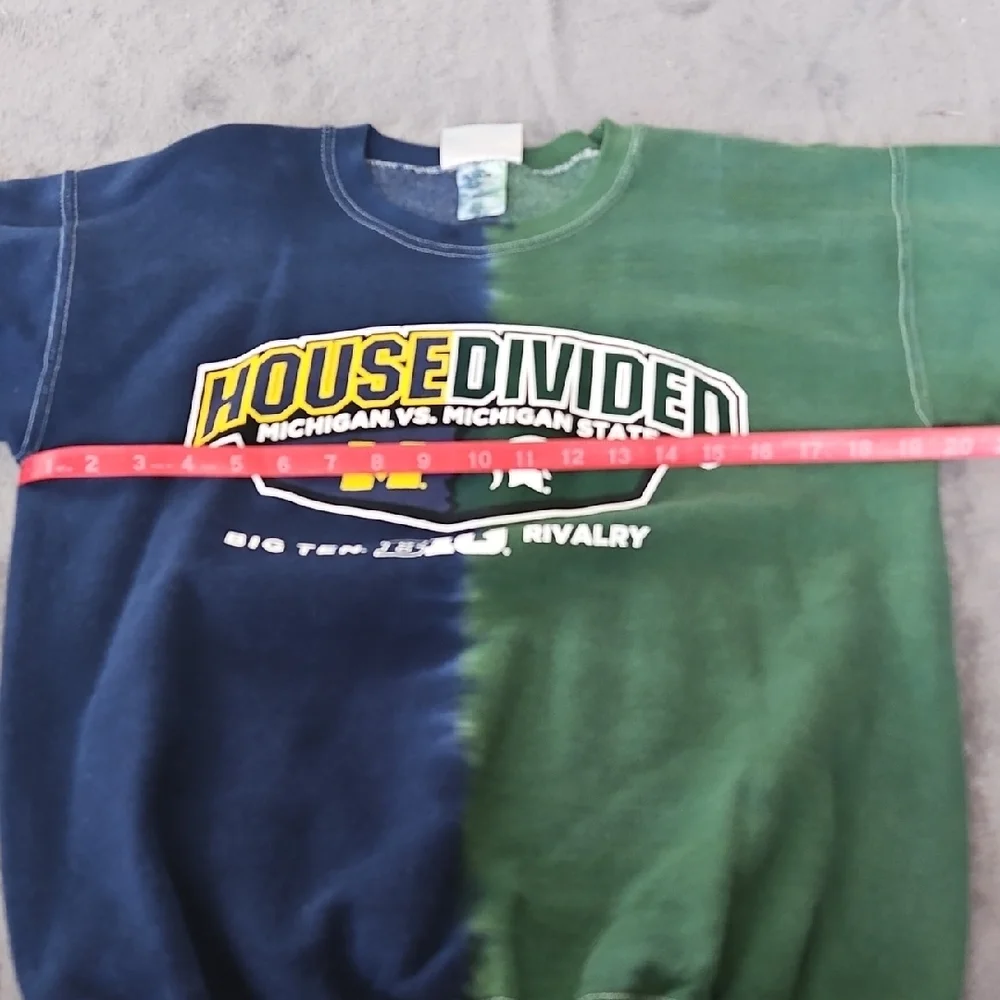 Hanes House Divided Men's Crewneck Sweater - Blue and Green - Picture 9 of 9